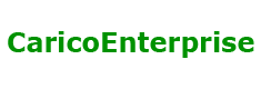 Carico Enterprise